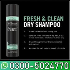 Between Washes Fresh &amp; Clean Dry Shampoo